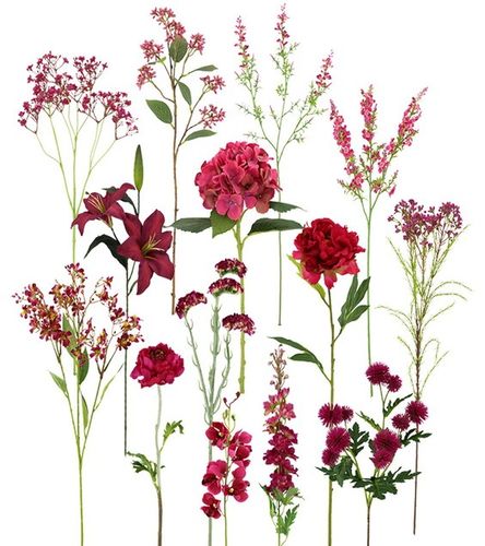 Top Quality Flowers